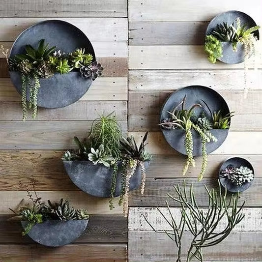 Wall Hanging Planter