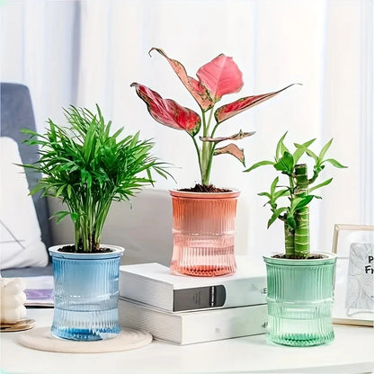 Self Watering Lazy Person Soil Cultivation Small Pot Living Room Desktop Bamboo Flower Planter Pots Transparent Vase Room Decor