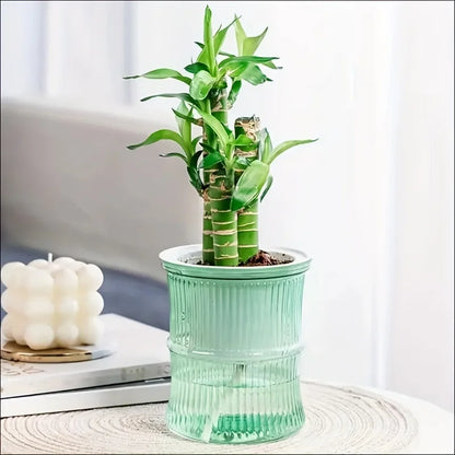 Self Watering Lazy Person Soil Cultivation Small Pot Living Room Desktop Bamboo Flower Planter Pots Transparent Vase Room Decor