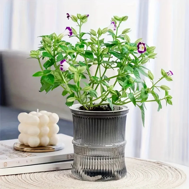 Self Watering Lazy Person Soil Cultivation Small Pot Living Room Desktop Bamboo Flower Planter Pots Transparent Vase Room Decor